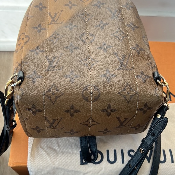 Palm Springs Mini Reverse Monogram - Picture 11 of 17